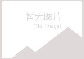 石渠县冰夏制造有限公司